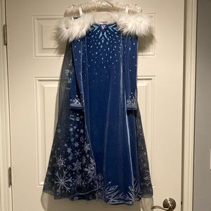 Disney store Frozen Fever Elsa dress